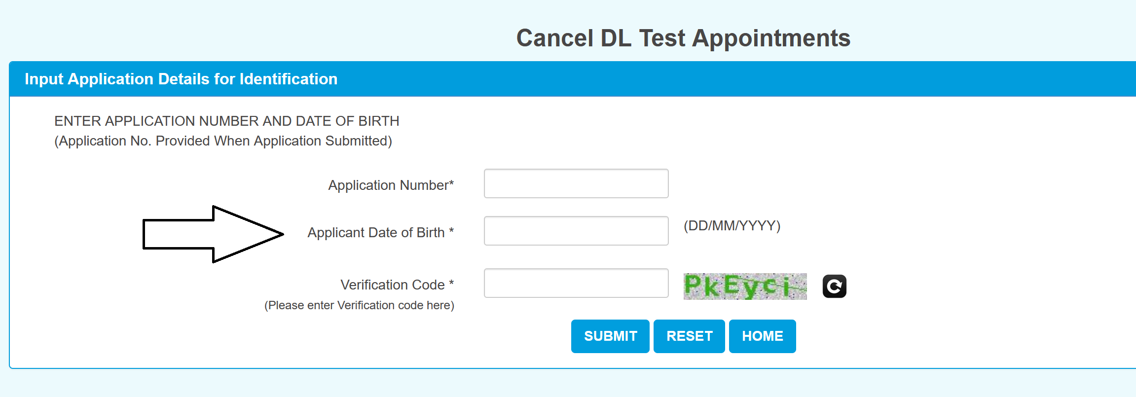 Cancel DL Appointment